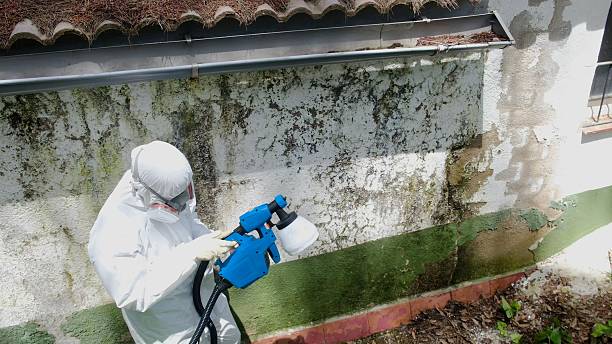 Top rated local Mold Remediation specialists in Myersville, MD